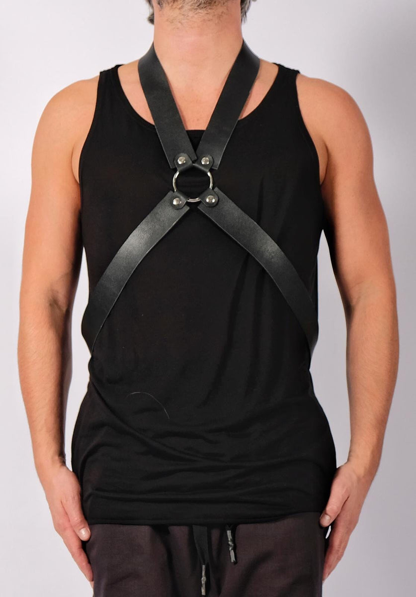 Leather Harness – David's Road US