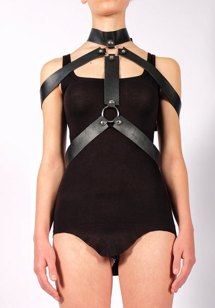 Leather Harness by David's Road